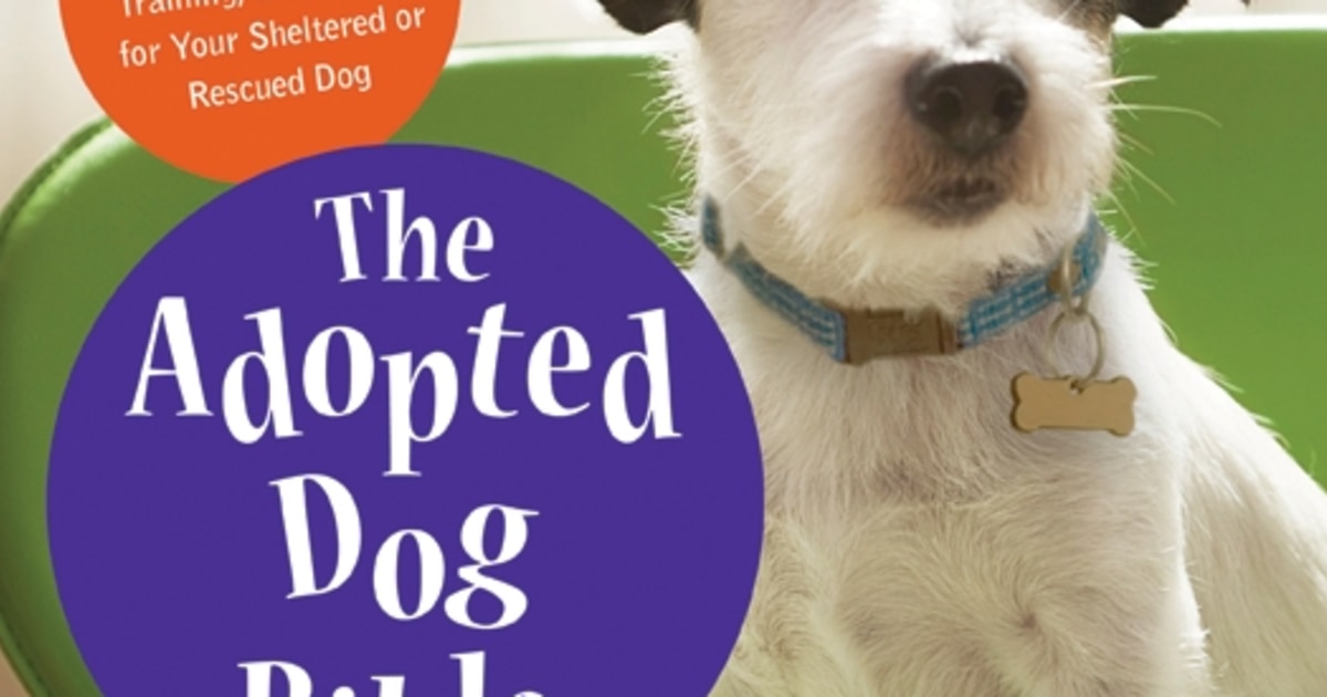 Adopting a dog cheap 101